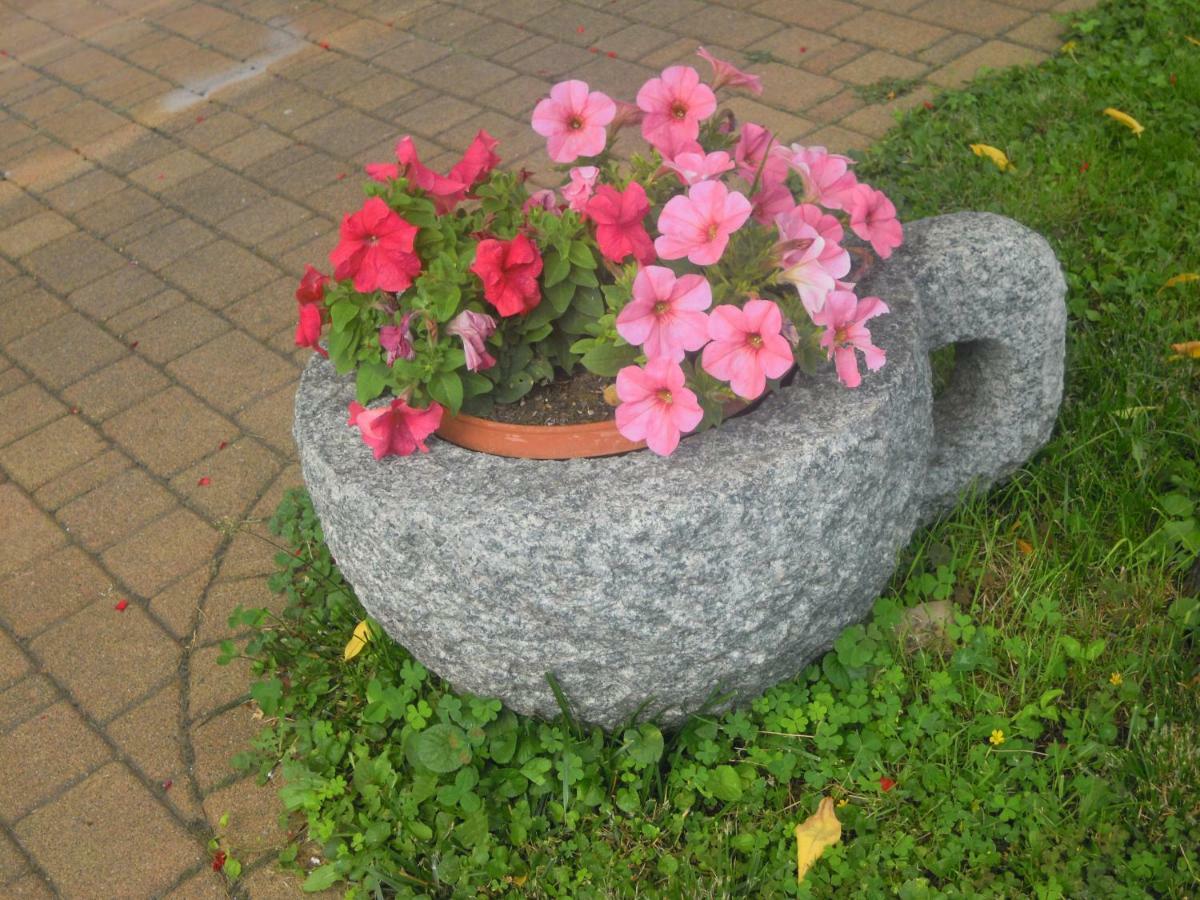 Il Nido Del Merlo Parcheggio E Giardino Verbania Zewnętrze zdjęcie